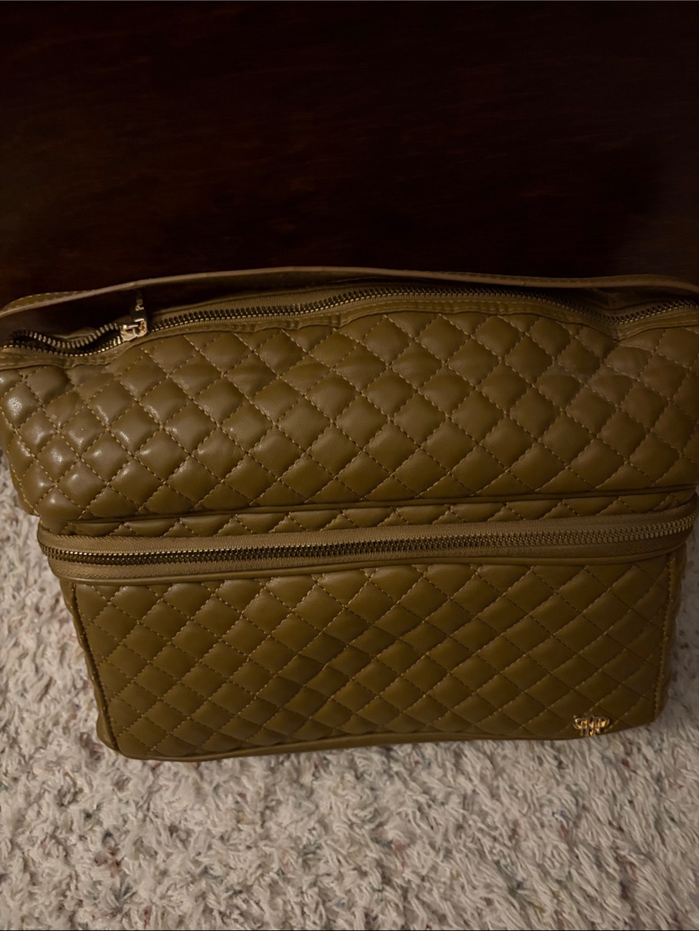 Purse N Stylist Travel Bag